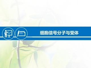 细胞信号分子与受体
