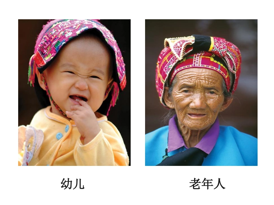 细胞中的无机物_第3页