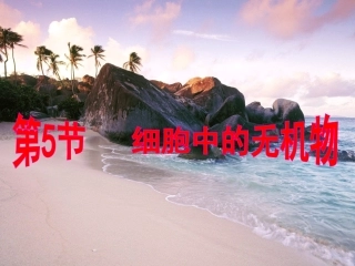 细胞中的无机物