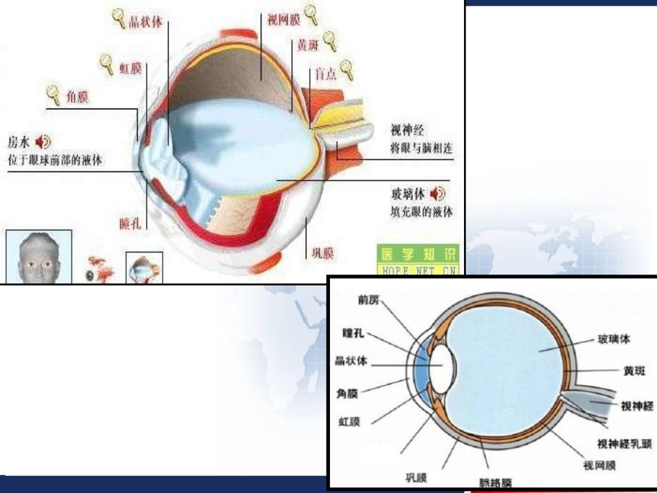 细菌性角膜溃疡眼科护理查房_第3页