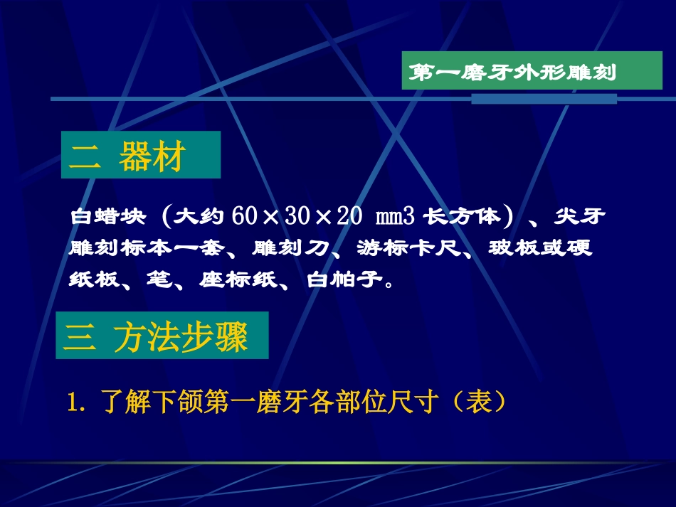 下颌第一磨牙外形雕刻课件_第3页