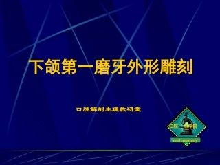 下颌第一磨牙外形雕刻课件