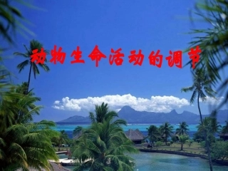 下丘脑垂体甲状腺