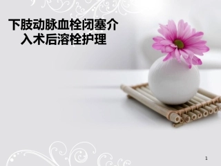 下肢动脉血栓及护理课件