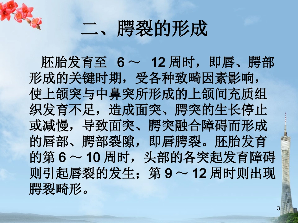 先天性腭裂课件_第3页