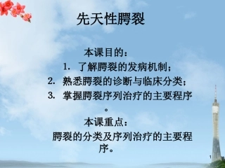 先天性腭裂课件
