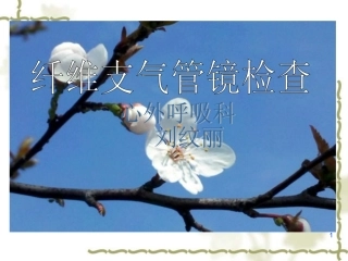 纤维支气管镜检查详解课堂