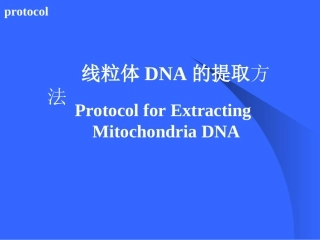 线粒体DNA的提取方法