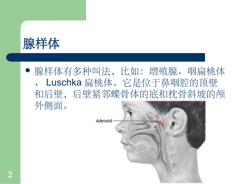 腺样体肥大的X线测量_第2页