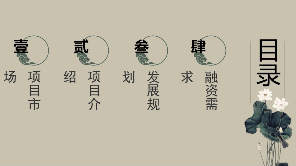 湘莲项目商业计划书_第2页