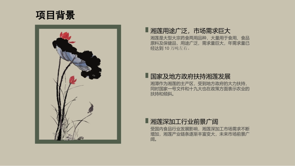 湘莲项目商业计划书_第3页