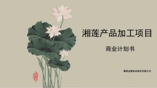 湘莲项目商业计划书