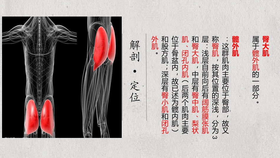 详解臀大肌损伤二三事_第3页
