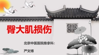 详解臀大肌损伤二三事
