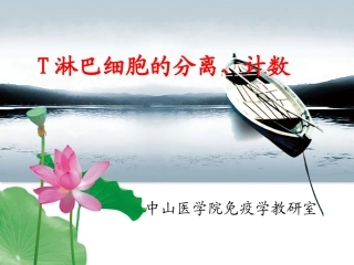 详细的淋巴细胞的分离计数教程