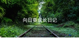 向日葵成长日记