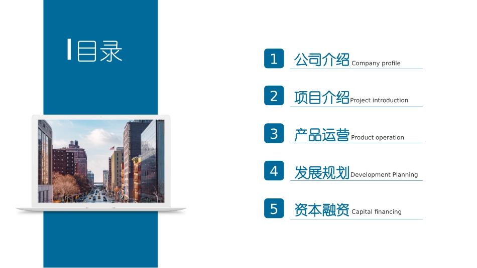 项目融资商业计划书_第2页