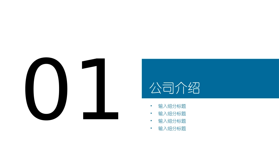 项目融资商业计划书_第3页