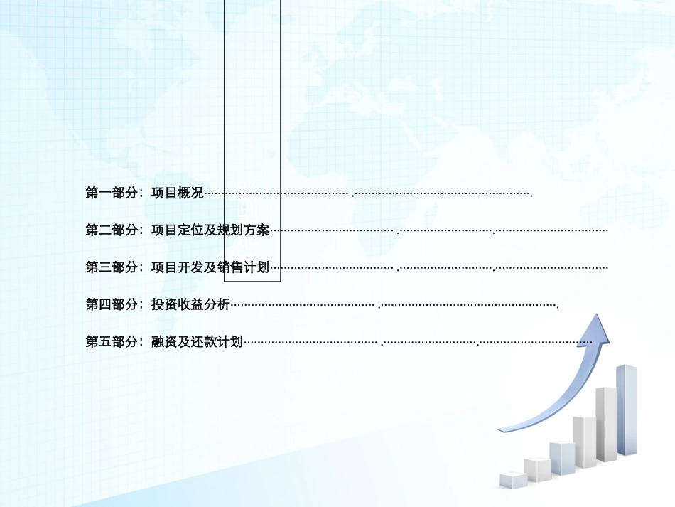 项目投资可行性报告报告完整版_第2页