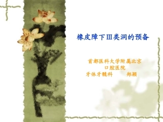 橡皮障下的三类洞预备课件