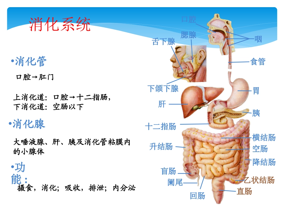 消化道出血护理_第3页