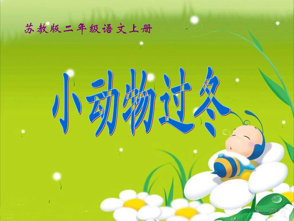 小动物过冬课件_第1页