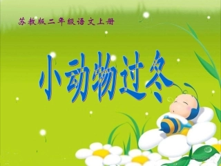 小动物过冬课件