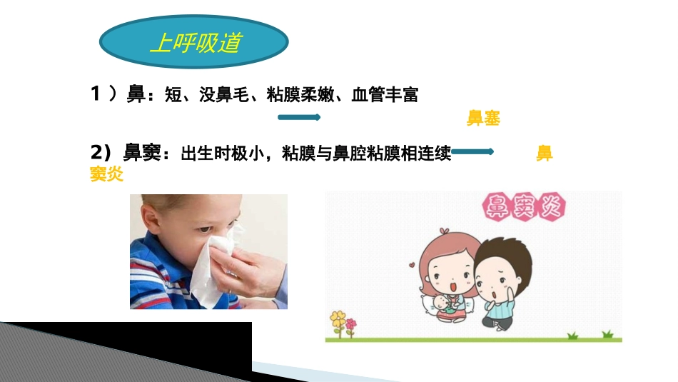 小儿呼吸系统特点_第3页