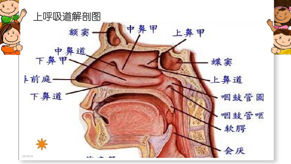小儿上呼吸道感染龚娅婷_第3页