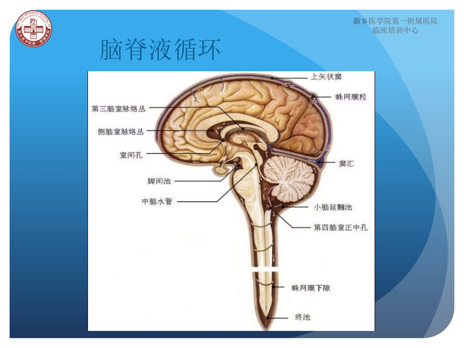 小儿腰椎穿刺术_第3页