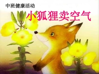 小狐狸卖空气