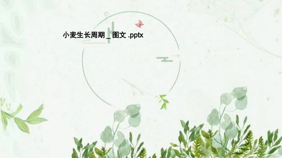 小麦生长周期_第1页