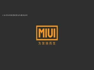 小米手机网络营销策划及案例分析
