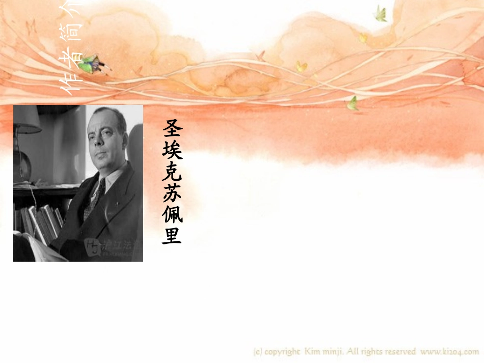 小王子童话故事_第2页