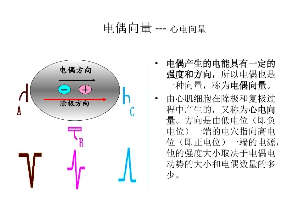 心电向量和心电向量环_第3页