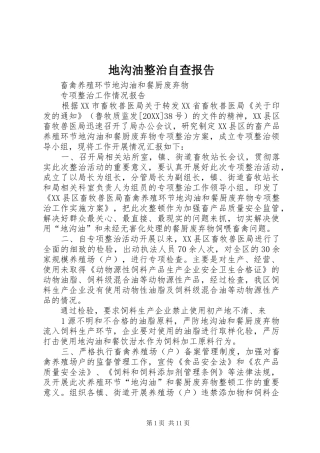 地沟油整治自查报告