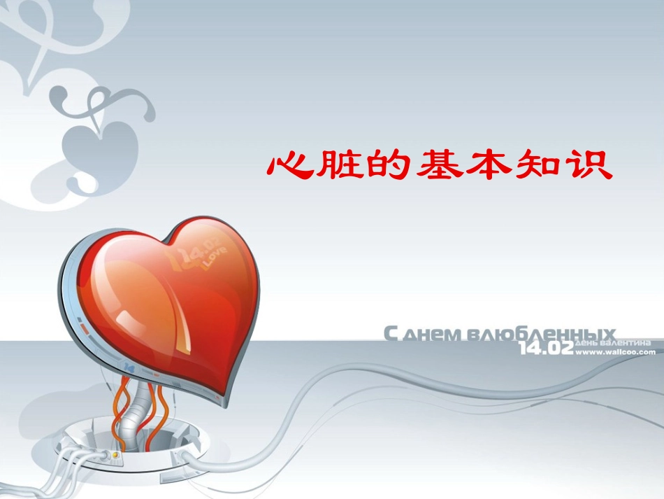 心脏的基本知识_第1页