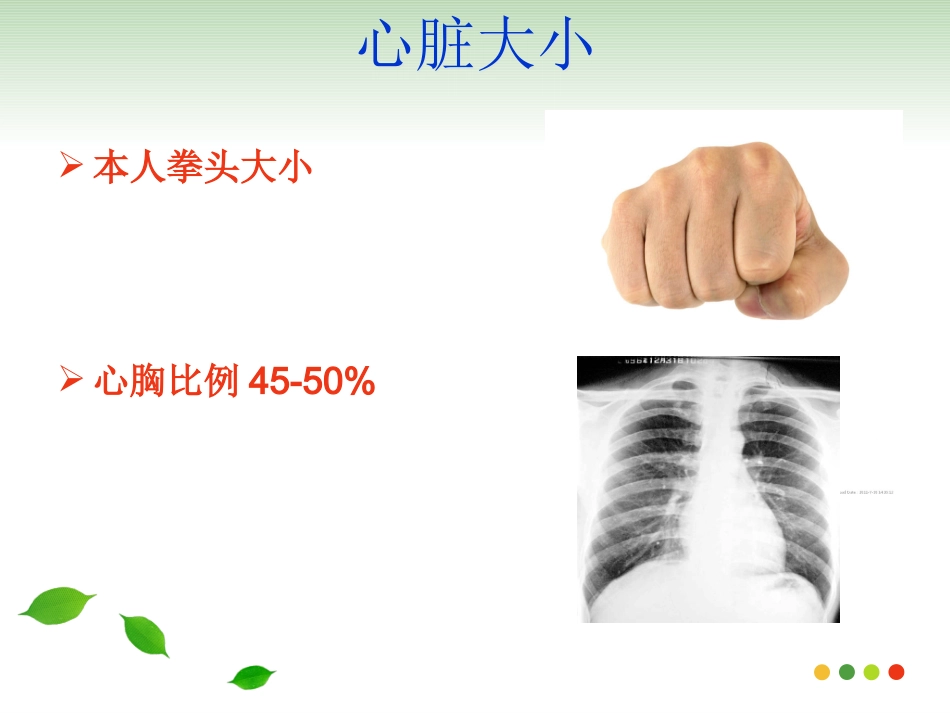 心脏的解剖推荐完整_第3页