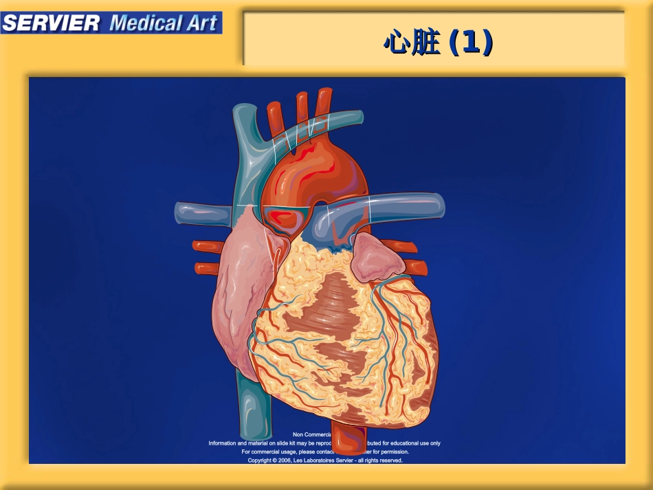心脏生理学精_第2页