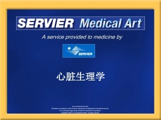 心脏生理学精