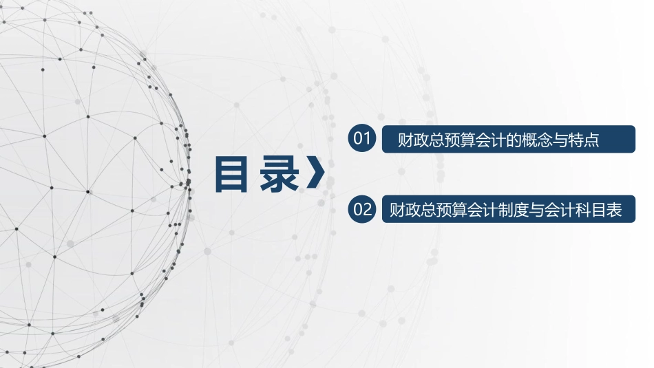 新编政府会计财政总预算会计概述_第2页