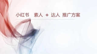 新媒体营销方案