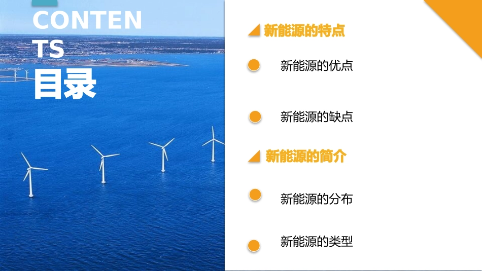 新能源发展概况_第2页