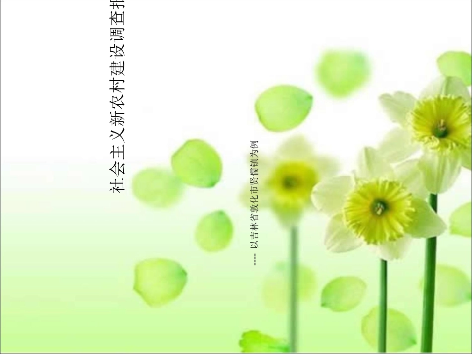 新农村调查报告_第2页