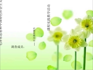 新农村调查报告