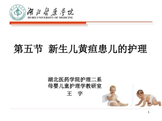 新生儿黄疸说课