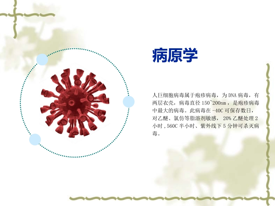 新生儿巨细胞病毒感染_第3页
