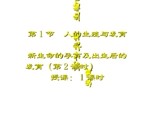 新生命的孕育课件