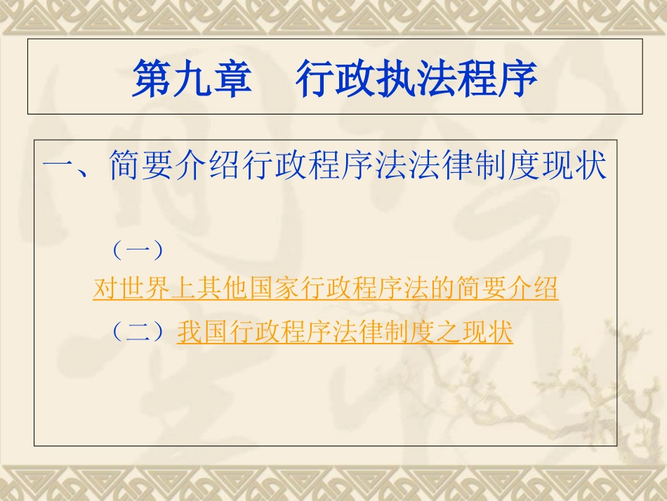 行政执法程序_第3页