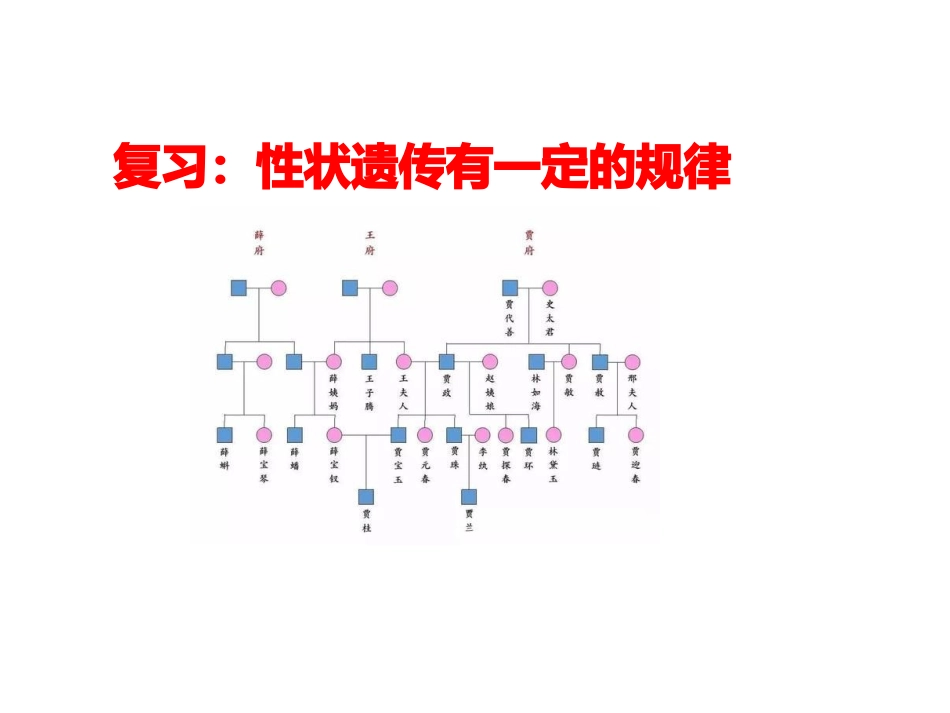 性状遗传有一定的规律性_第1页